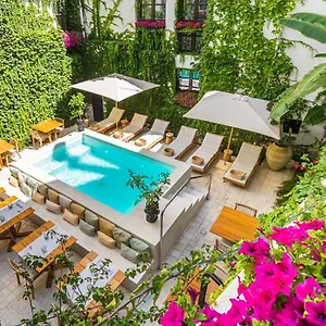 https://casa-nostra-boutique-hotel.palermohotels.org