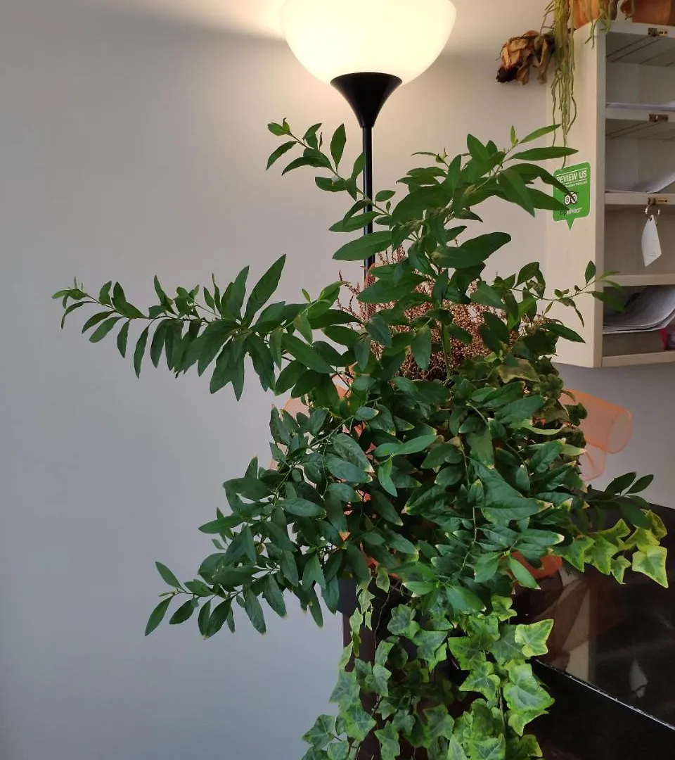 Hotel Feel Inn Venice Airport Guest house