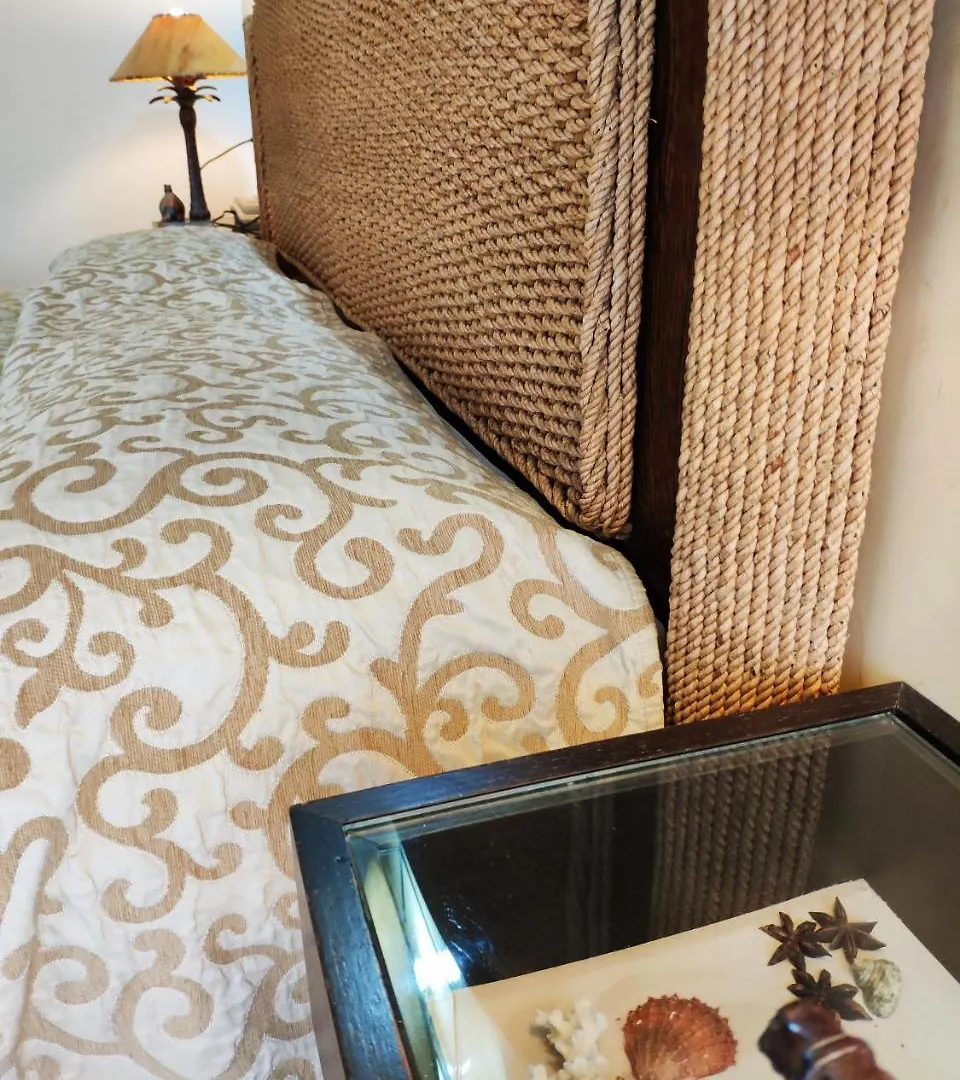 Guest house Hotel Feel Inn Venice Airport